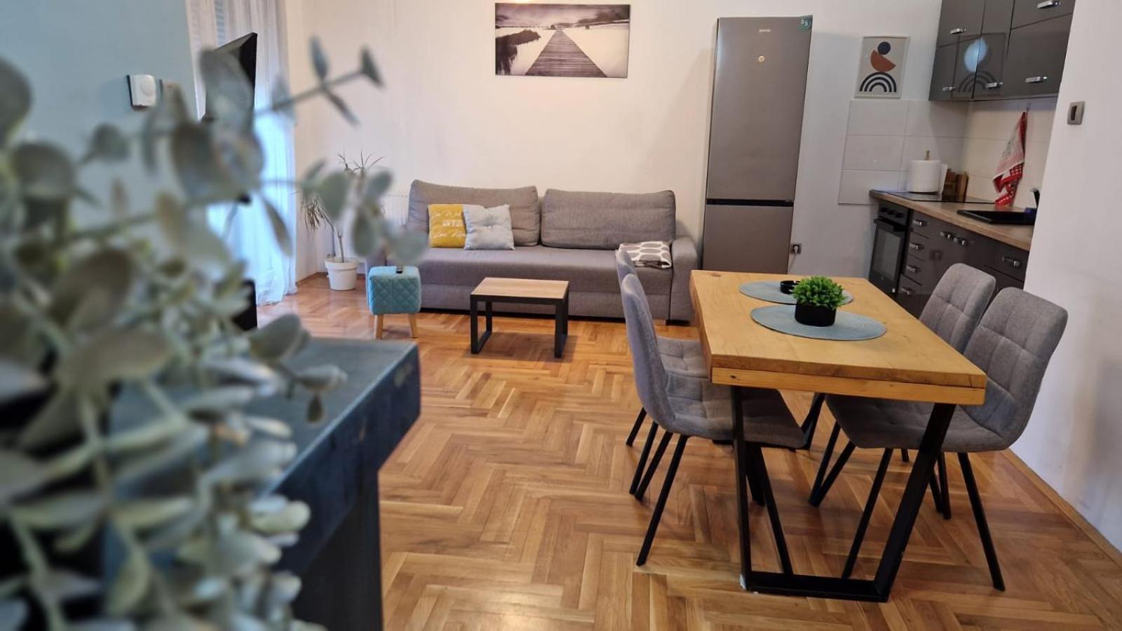 Apartment Luki โนวีซาด ภายนอก รูปภาพ